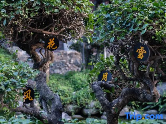 Songtu Villa (Dali Ancient City Yang Liping Grand Theater Store)