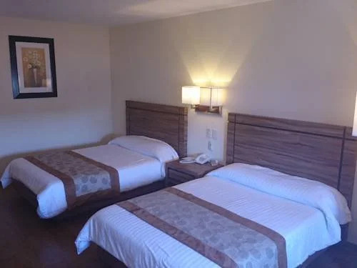 Hotel Oliver Inn - Business Class