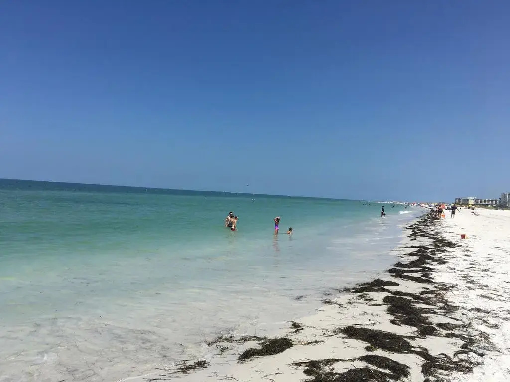 The Beachcomber St. Pete Beach Resort & Hotel