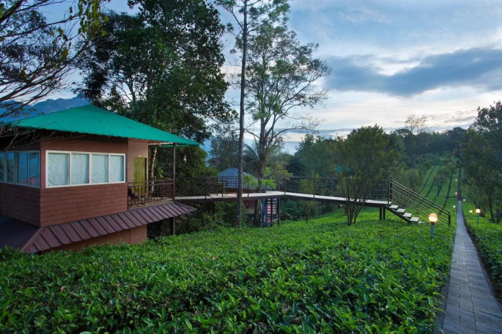 Dream Catcher Plantation Resort