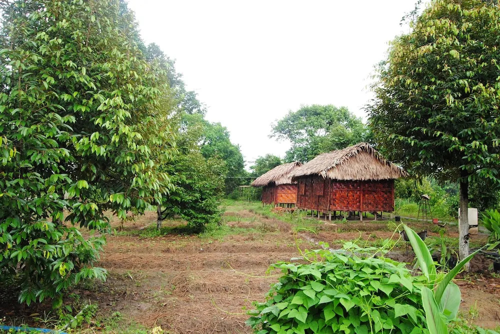 Nui Tuong Village Stay