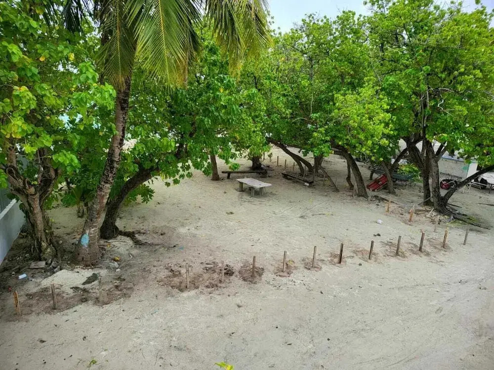 AAN Beach View