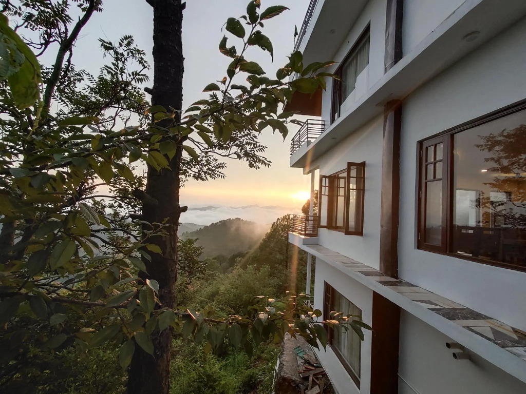 Leela The Flavours of Nature Dagshai Hills