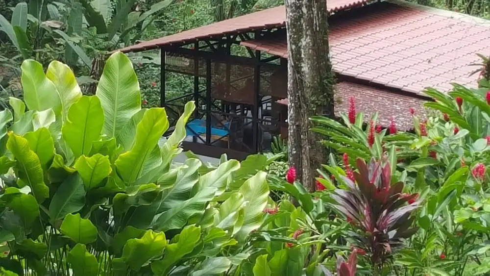 Casa Mono at Monkey Tree