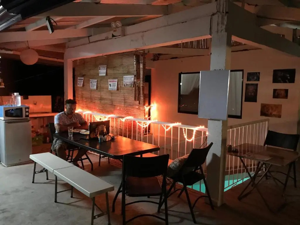 Hostel Lions