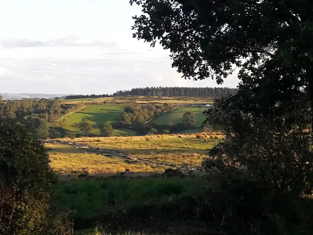 pen-rhos luxury glamping "The Hare Hut"