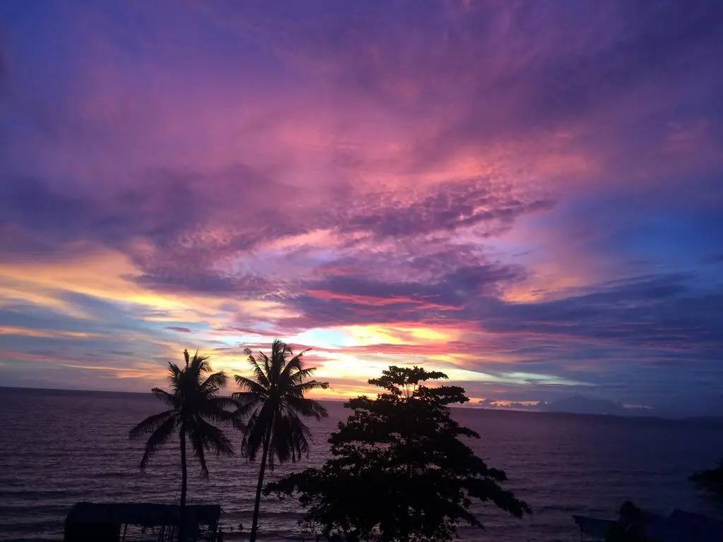 Dila Phu Quoc