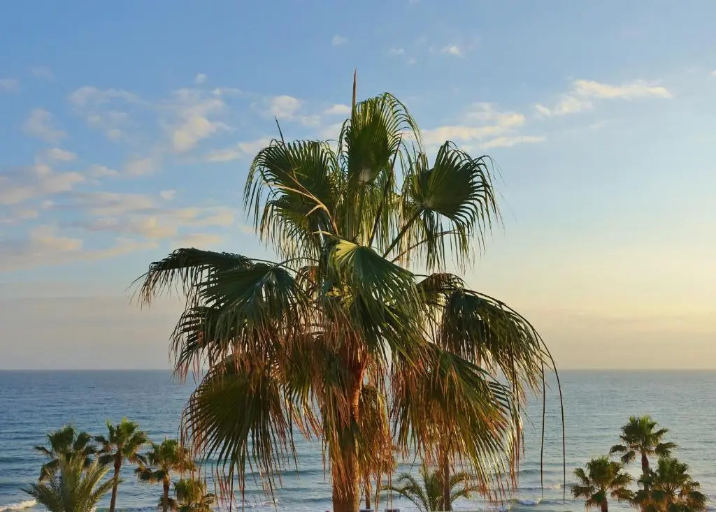 Dona Lola Patricia - Spacious 3 Bedroom Top Floor Apartment with Uninterrupted Sea Views - Only a Few Meters To Calahonda Beach - Costa Del Sol - Cs188