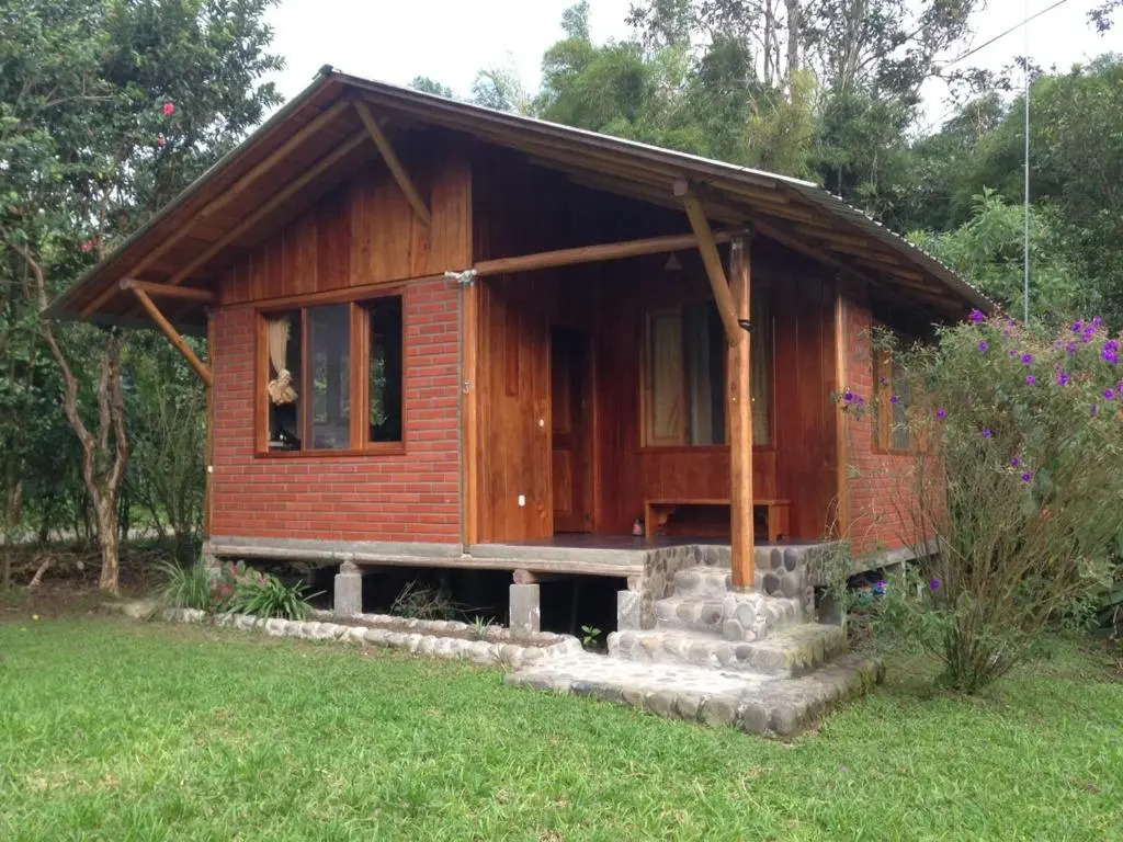 Bird Lovers House