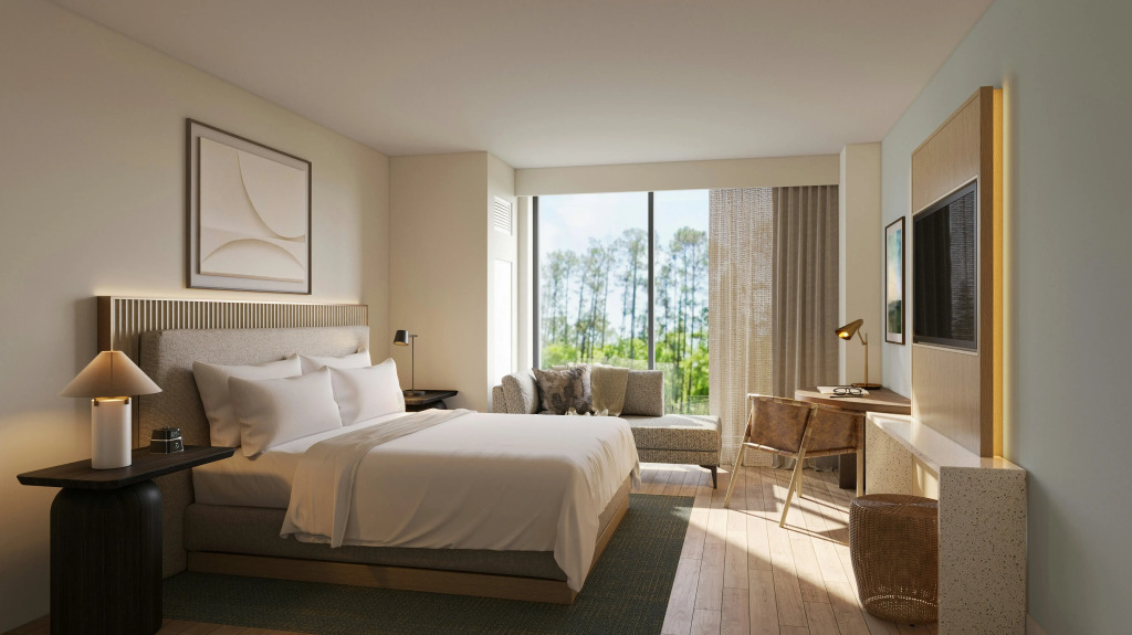 Hilton Jacksonville At Mayo Clinic