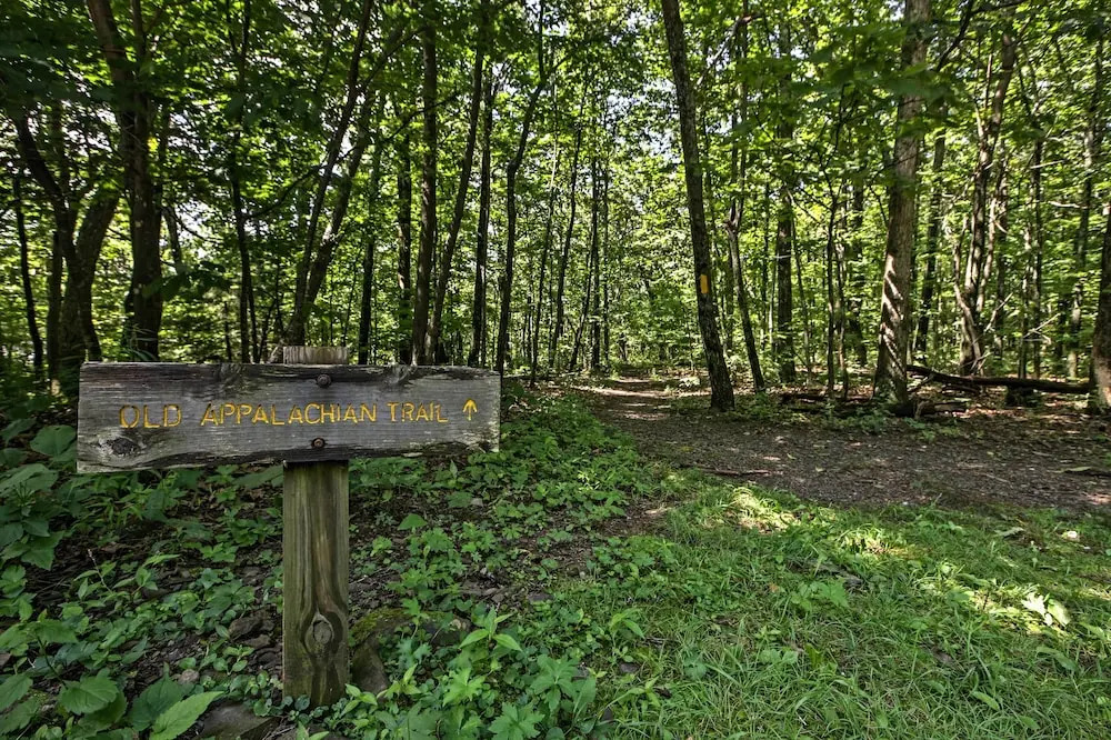 Wintergreen Home w/ Deck - Near Skiing & Hiking!