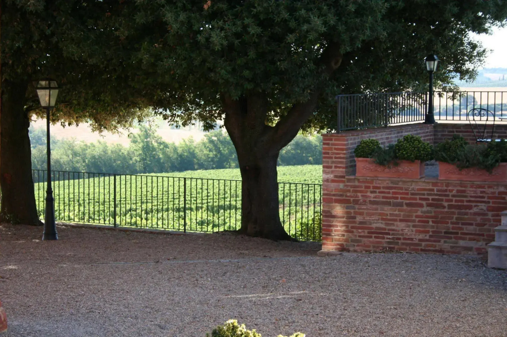 Fattoria Terrarossa