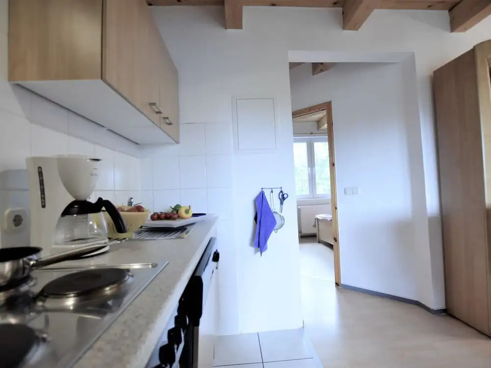 Spacious Apartment in Boddin with Garden