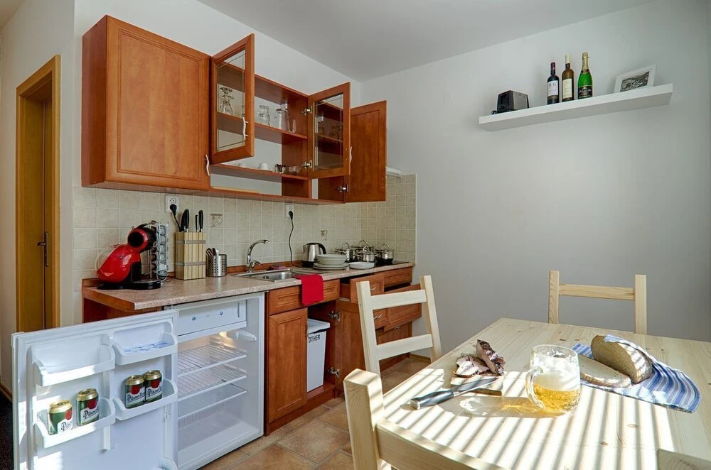 Apartmán Borůvka