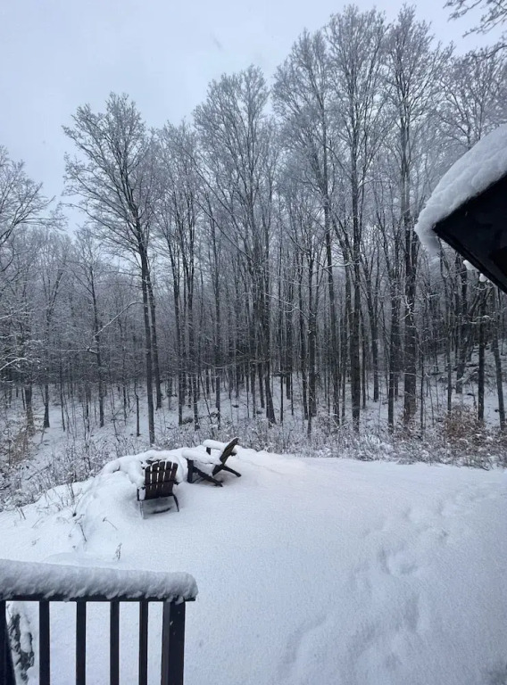 Forest Mountain Escape- Beautiful Mountaintop Escape in Mendon, VT, 20 min to Killington 14 to Pico, home