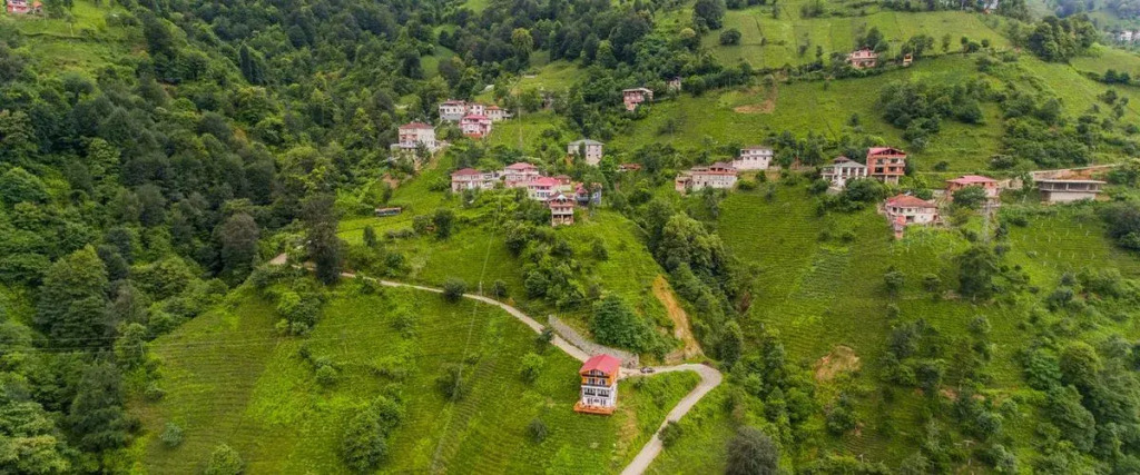 MCTSUİT