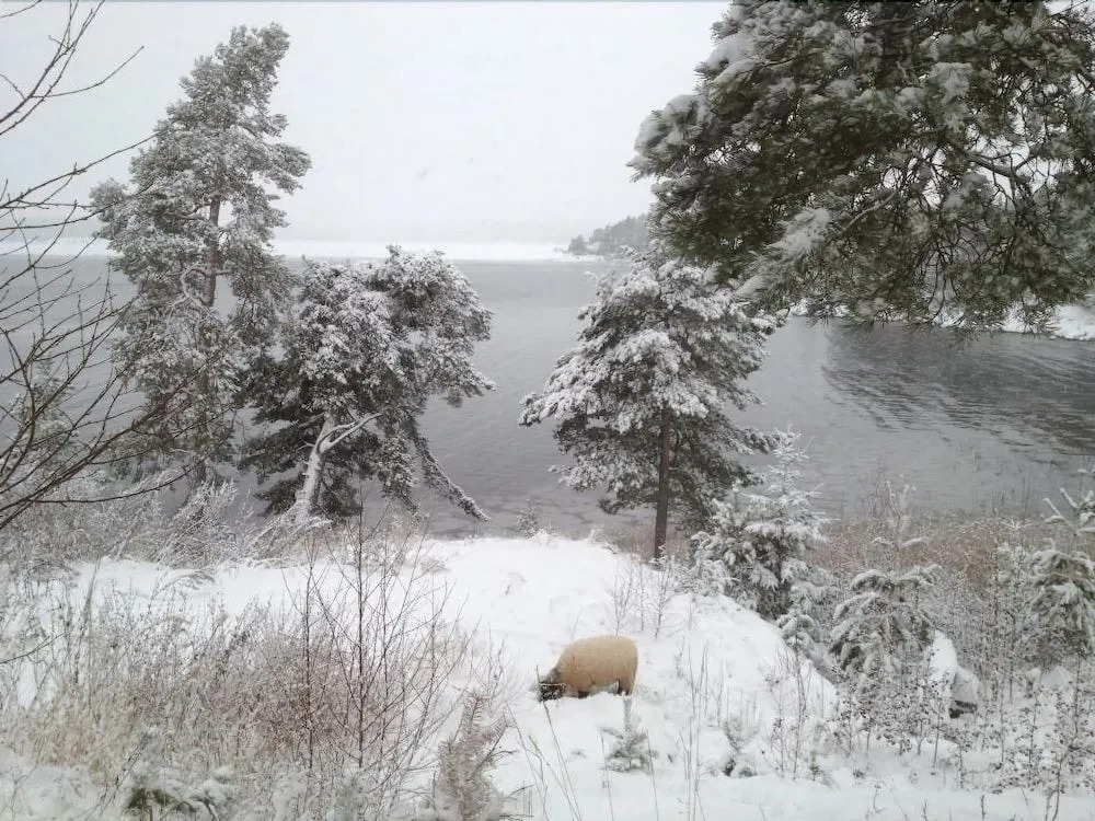 Vätternterrassen