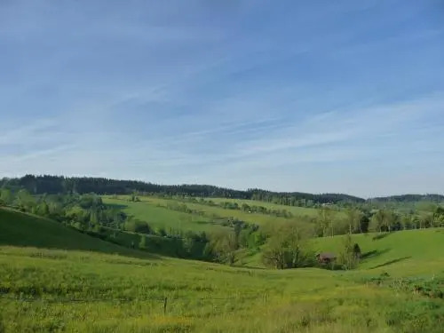 V Tajchách