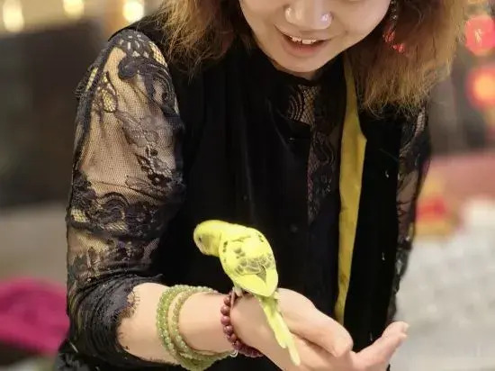 Libo Xiaoqikong Shunhao Inn