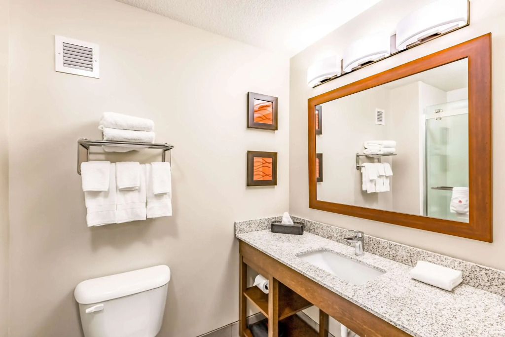 Comfort Inn Altoona-Des Moines