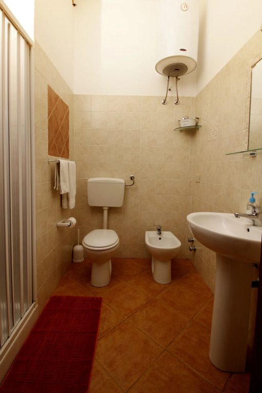 La Mimosa di Erice