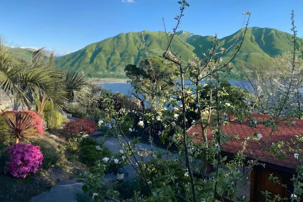 Locarno Area: Quiet Lake View Escape 1