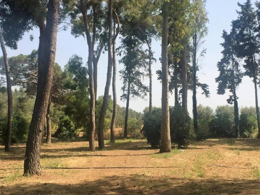Masseria San Domenico Oria boutique B&B