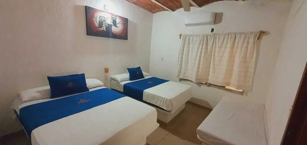Tropical Suite