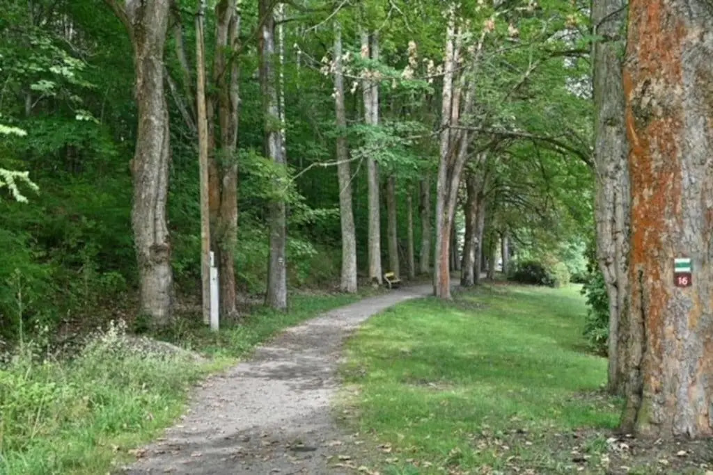 Křižíkova 4