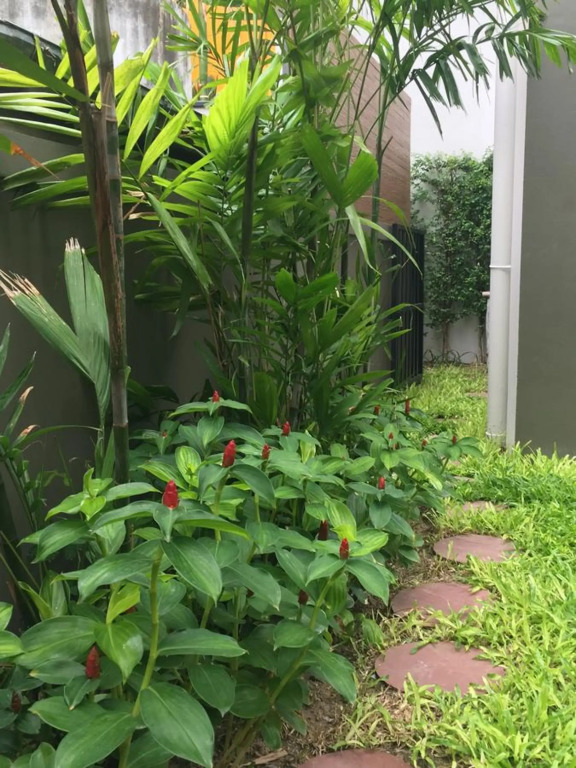 The Palm Residence