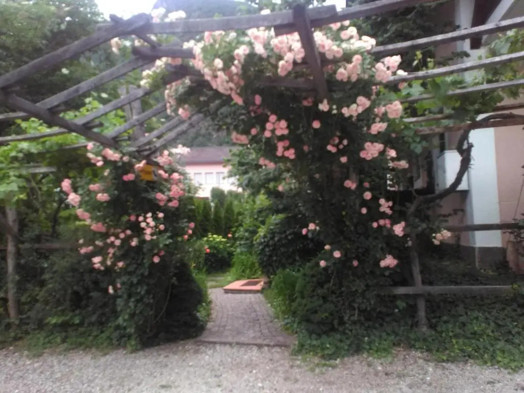 Haus Tinkhauser