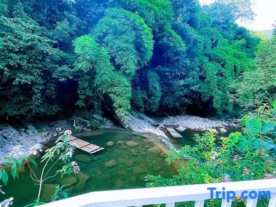 Qingcheng Mountain Yujian Forest Private Soup Homestay