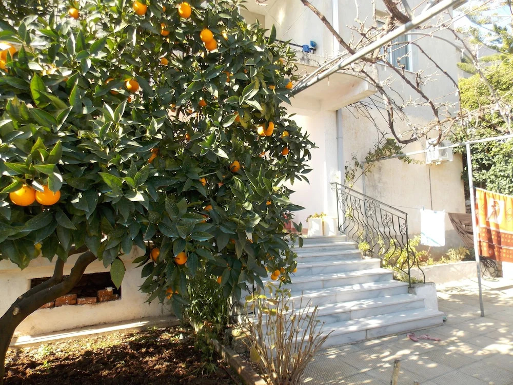 Ylli Apartments Saranda