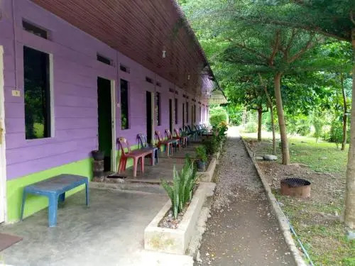 Jungle Tribe Guesthouse