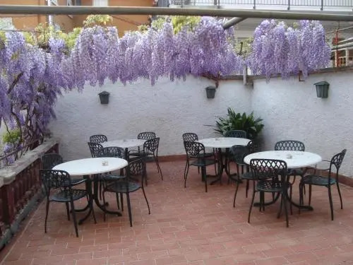 Hotel Marchi