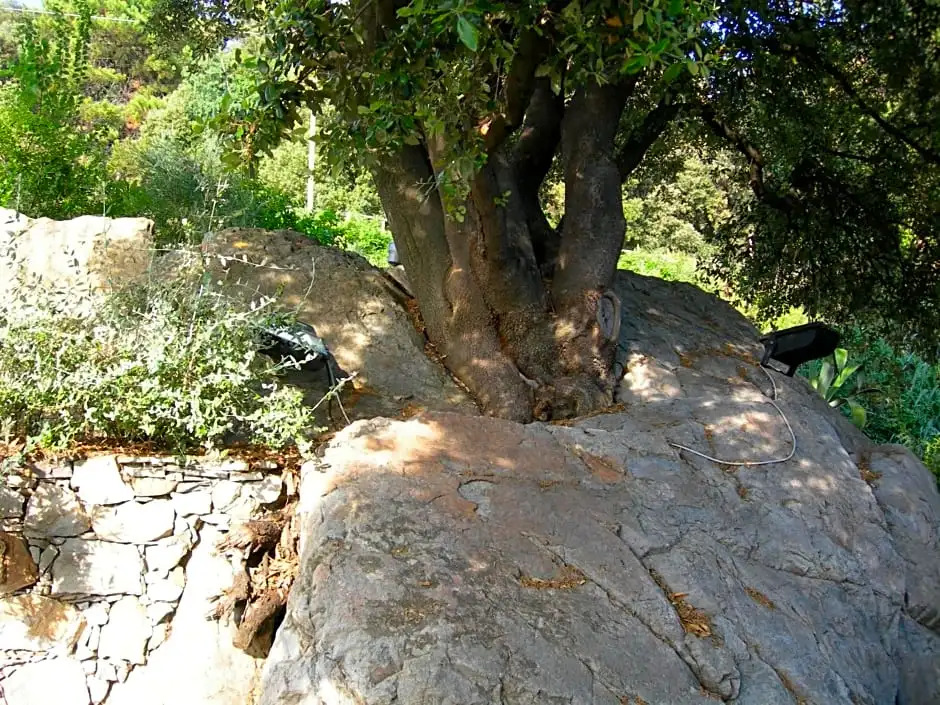 Hotel La Giada del Mesco