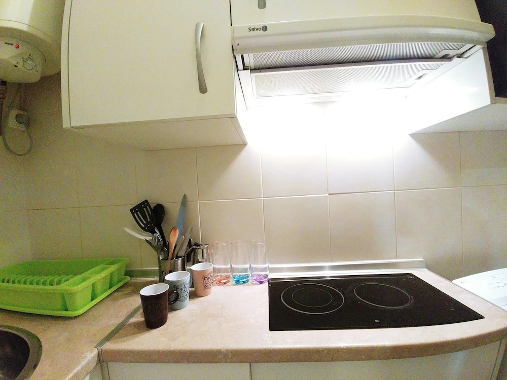 Luxury Flat Legazpi