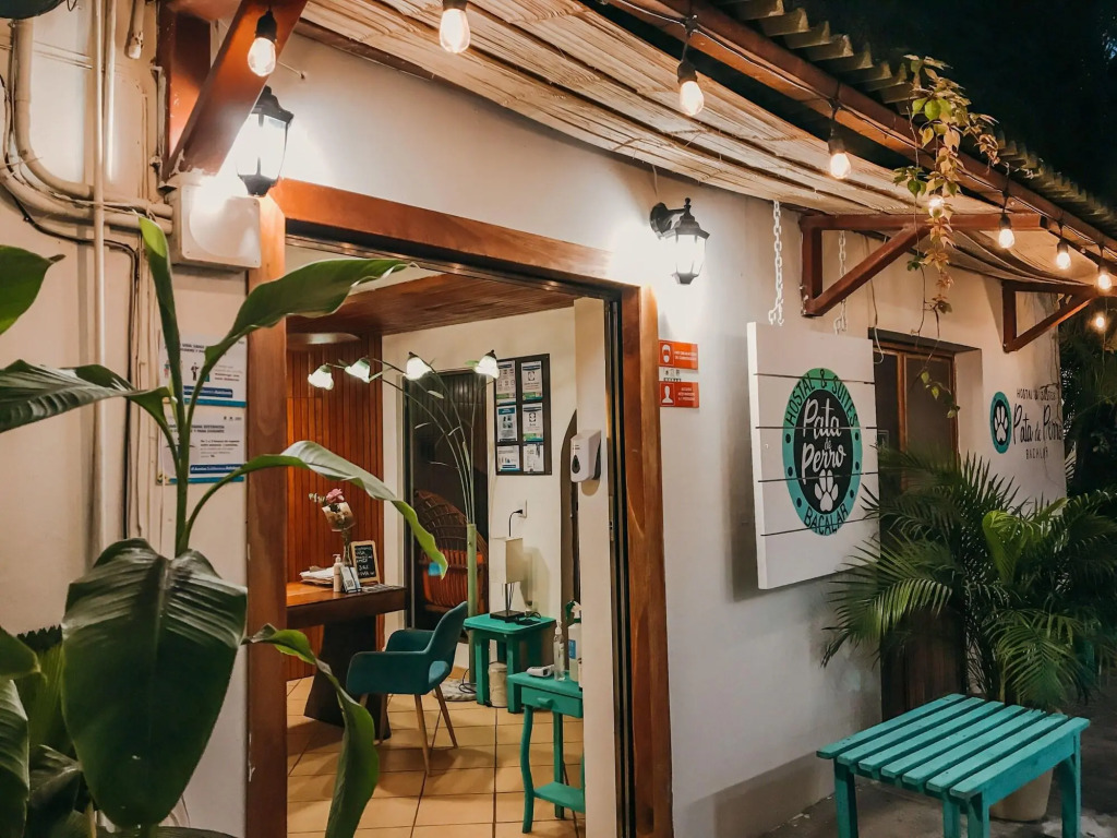 Pata de Perro Bacalar