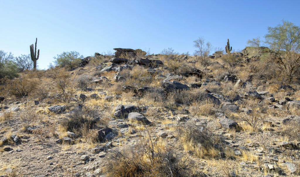 WorldMark Phoenix - South Mountain Preserve