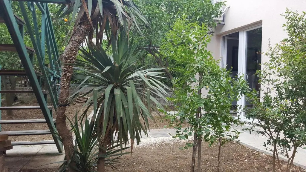 Garden apartmant near sea