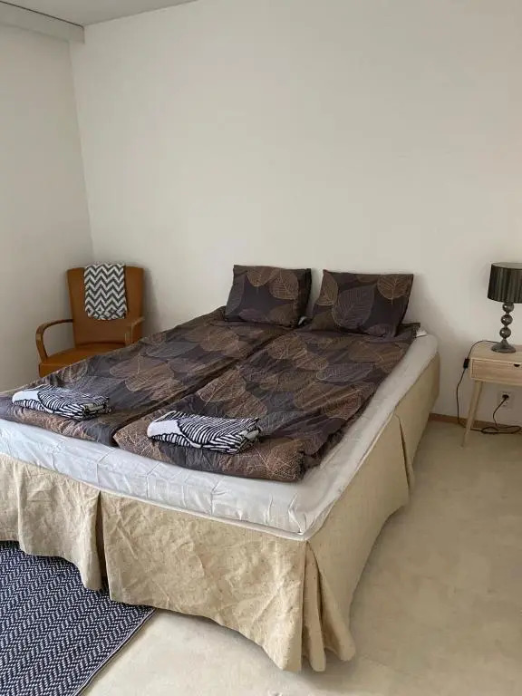 Apartment Luotsikuja