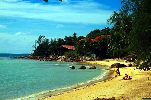 Jungle Hut Bungalows & Hotel