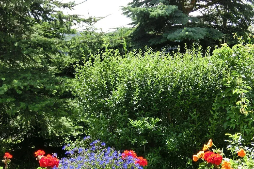 Holiday Home in Cattenstedt Harz With Garden