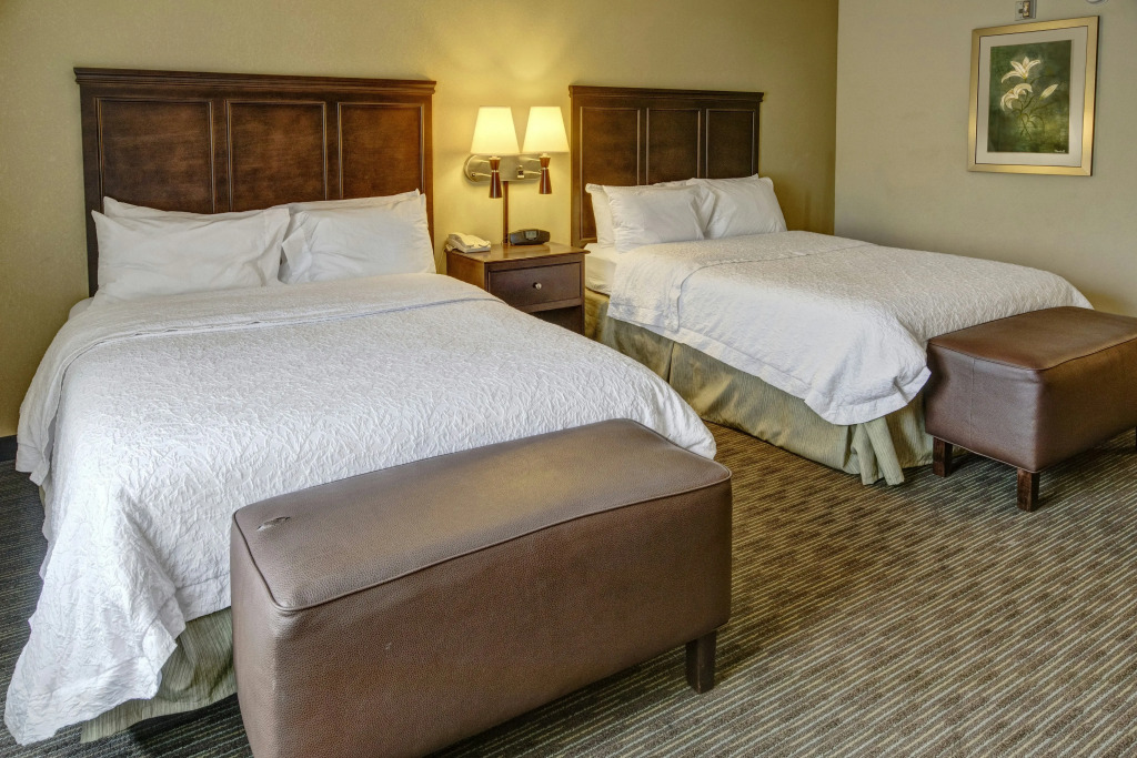 Hampton Inn & Suites Birmingham/280 East-Eagle Point