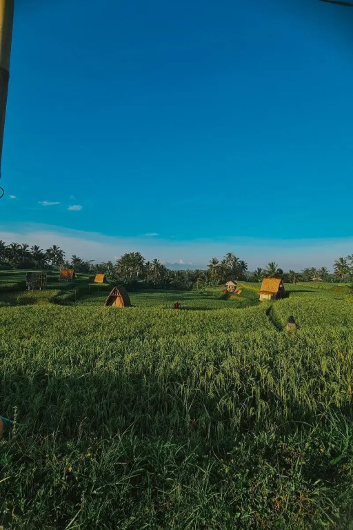 Swaha Retreat & Eco Park Ubud