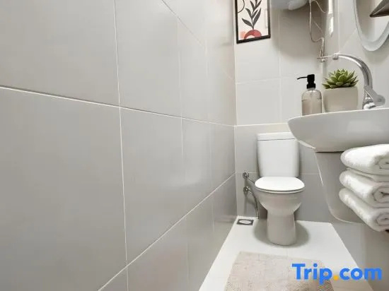Central luxury apartment 3 bedrooms