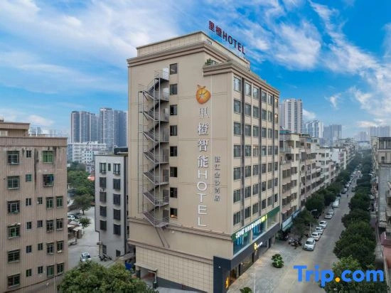Zhanjiang Licheng Zhineng HOTEL