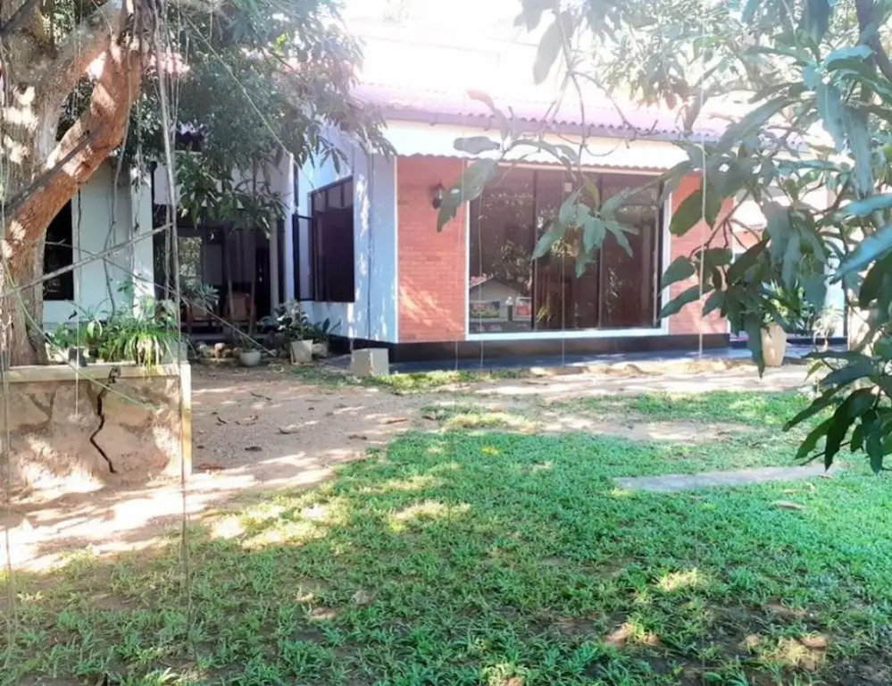 Mango Tree House