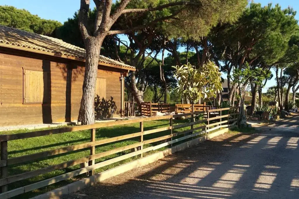 Quinta Vita- Vila Laranja