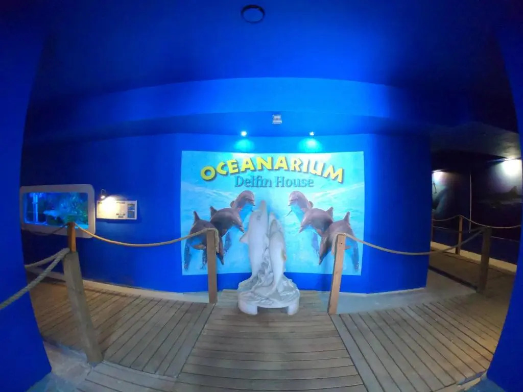 Dolphin House